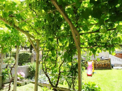 Apartamento La Vite Holiday Home