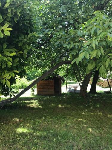 Apartamento Appartamento I Tulusan A Due Passi Dalle Langhe
