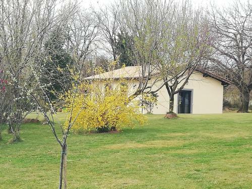 Agroturismo Agriturismo Podere Bianca Maria