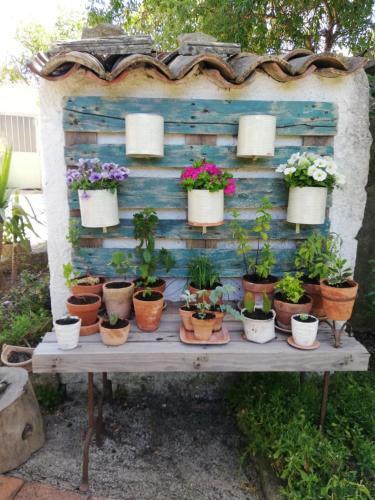 Sicilian Mountain Oasis - Entire Villa, Smart Working