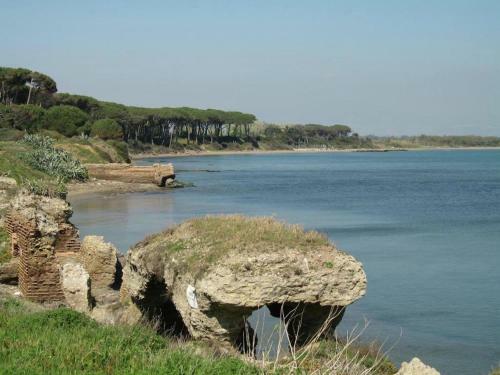 Sunny Apartment In Nettuno On The Beach