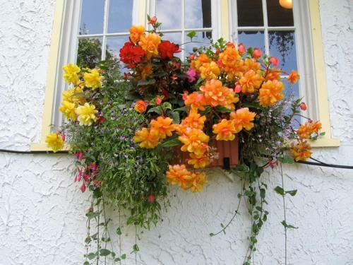 Bed & Breakfast Northland Lodge