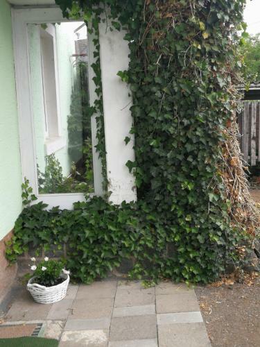 Apartamento Appartement Eifel Im Haus Sybille