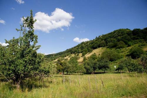 Apartamento Moseltraum-villa Kenn Bei Trier