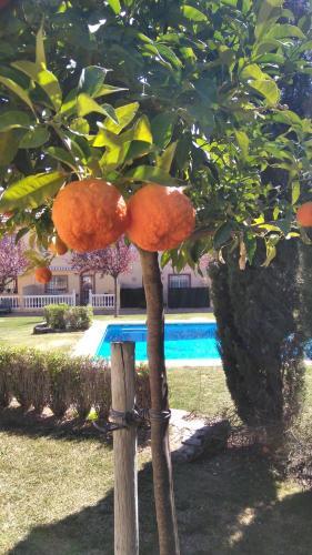 Agroturismo Country Village Bed And Breakfast