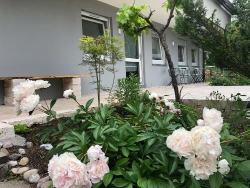 Apartamento Moderne Ferienwohnung In Esslingen