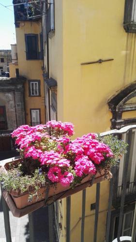 Bed & Breakfast Lo Specchio Dei Papiri