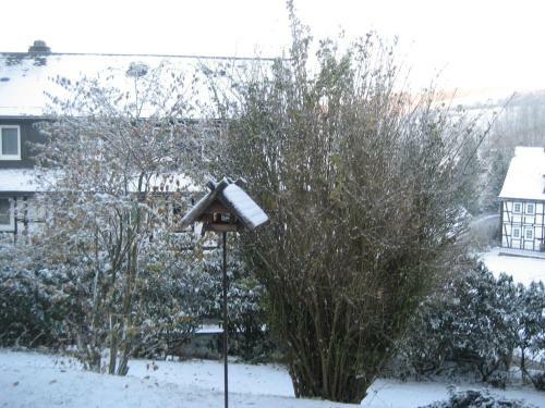 Hostal Pension Hampel