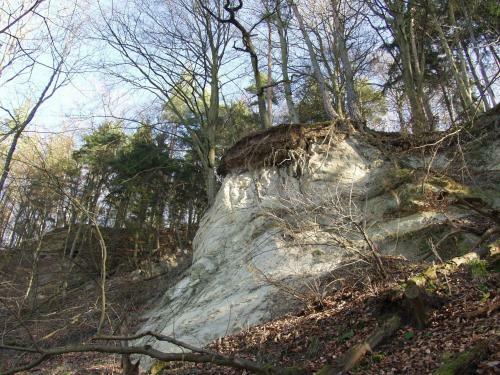 Hofurlaub Rudolstadt - Saale
