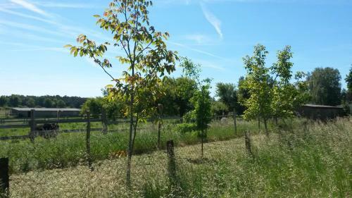 Apartamento Ferienwohnung Wroblewsky