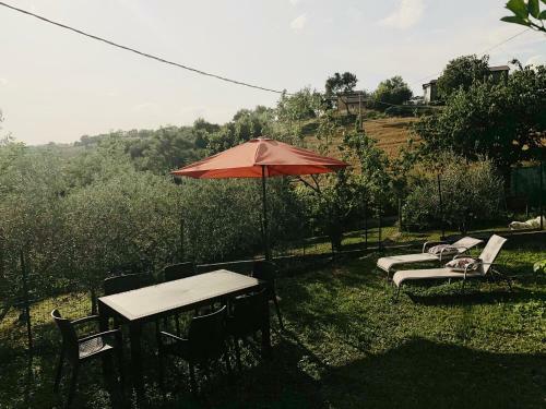 Casa Vacanze Il Gelsomino