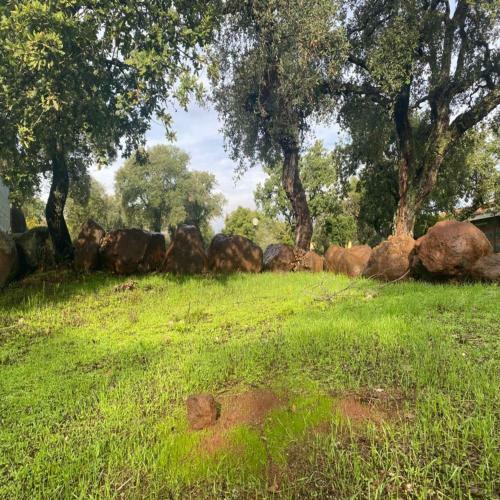 Nuraghe Ruiu Eco-camping Village