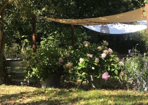 Casina Morgana B&B