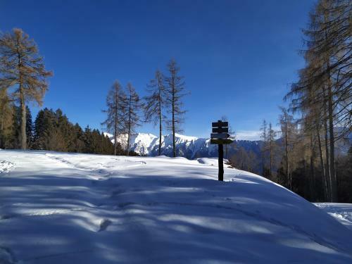 Apartamento Il Riccio Del Castagno