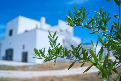 Agroturismo Masseria Donna Coletta