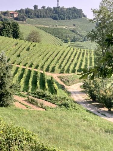 Apartamento La Magia Delle Langhe