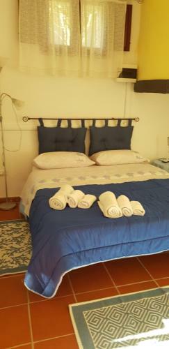 Apartamento Monolocale Con Giardino Indipendente