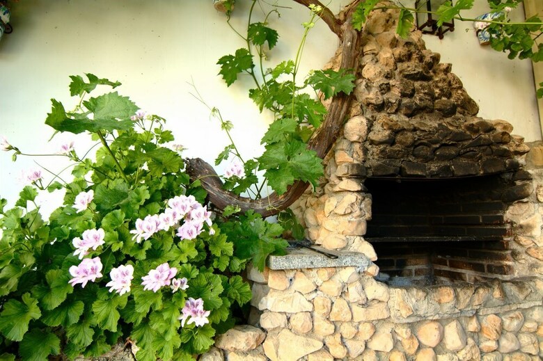 Lodge Casa Almendro