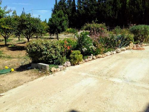 Apartamento Il Giardino Delle Rose A