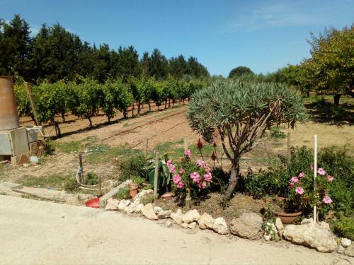 Apartamento Il Giardino Delle Rose A