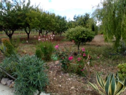 Apartamento Il Giardino Delle Rose A