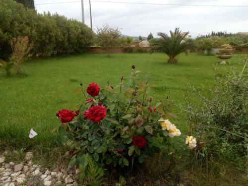 Apartamento Il Giardino Delle Rose A