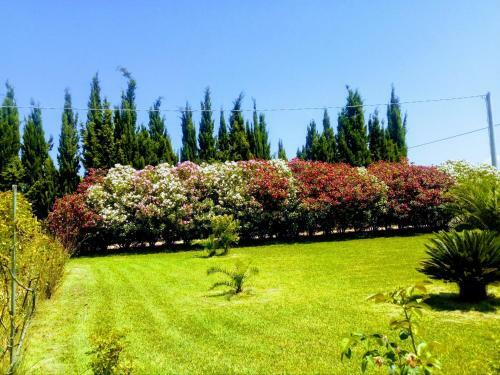 Apartamento Il Giardino Delle Rose A