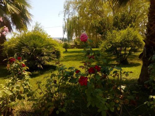 Apartamento Il Giardino Delle Rose A