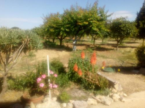 Apartamento Il Giardino Delle Rose A