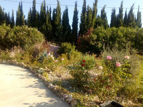 Apartamento Il Giardino Delle Rose A