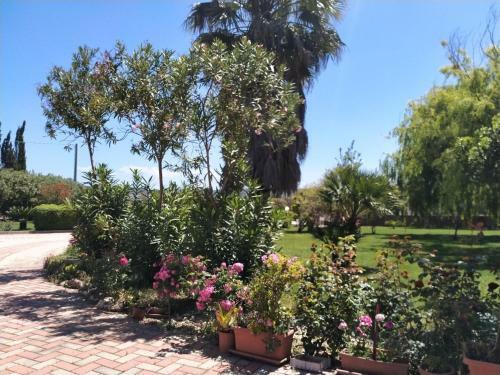 Apartamento Il Giardino Delle Rose A