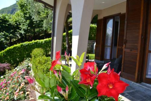 Apartamento Le Grigne Guesthouse - The Garden