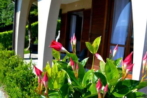 Apartamento Le Grigne Guesthouse - The Garden