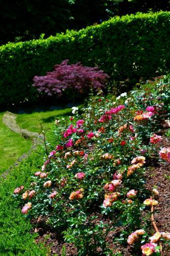 Apartamento Le Grigne Guesthouse - The Garden