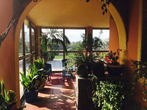 Bed & Breakfast Il Bouganville