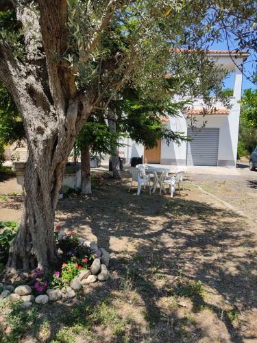 Casa Lolu