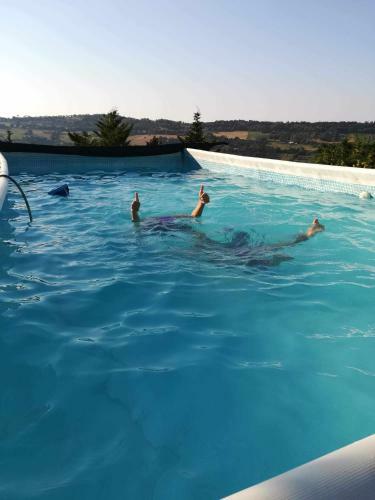 Bed & Breakfast Beb Casa Dei Pini