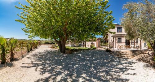Villa Country House Il Gelso E L?ulivo