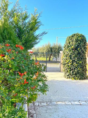 Calauriia Villas