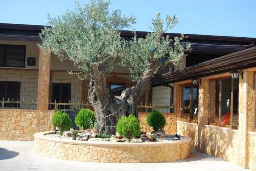 Hotel Tenuta Madre Terra Resort