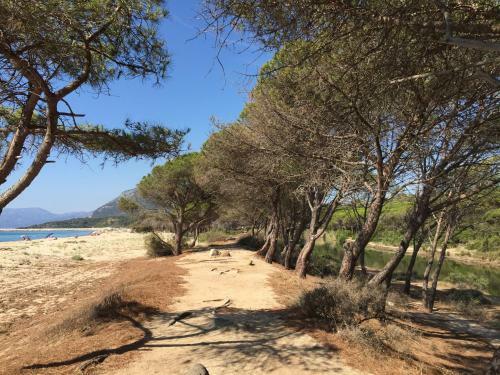 Apartamento Appartamento In Villa Andreina - Seminterrato