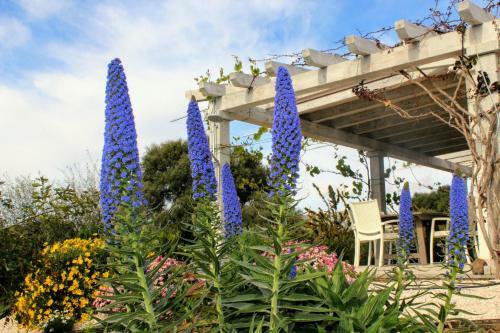 Luxury Country Villa By Sardiniagem, Walk To Beach