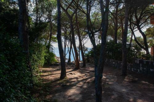 Apartamento Erminia House - Blue Flat