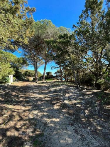 Apartamento Da Zio Salvo