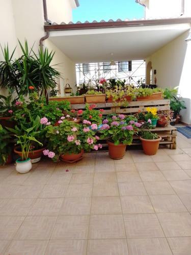 Hostal Vivere In Famiglia