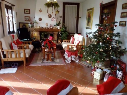 Dolomitas Home