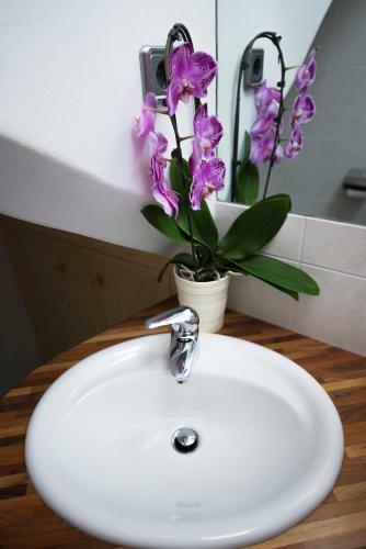 Apartamento Villa Schmalzl