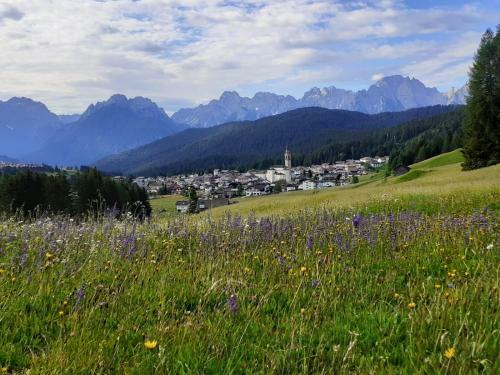 Apartamento Appartamento 3cime Stefania