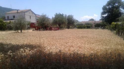 Agroturismo Agriturismo Tre Santi