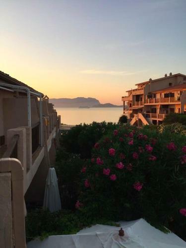 Apartamento Open Space Sul Mare